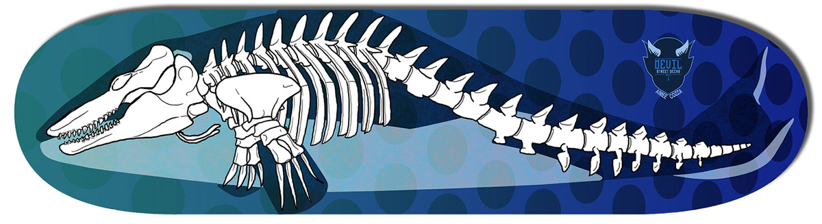 skeleton bones bone FOX loon bird Whale orca killer whale snake vertebrae scientific animal animals skateboard