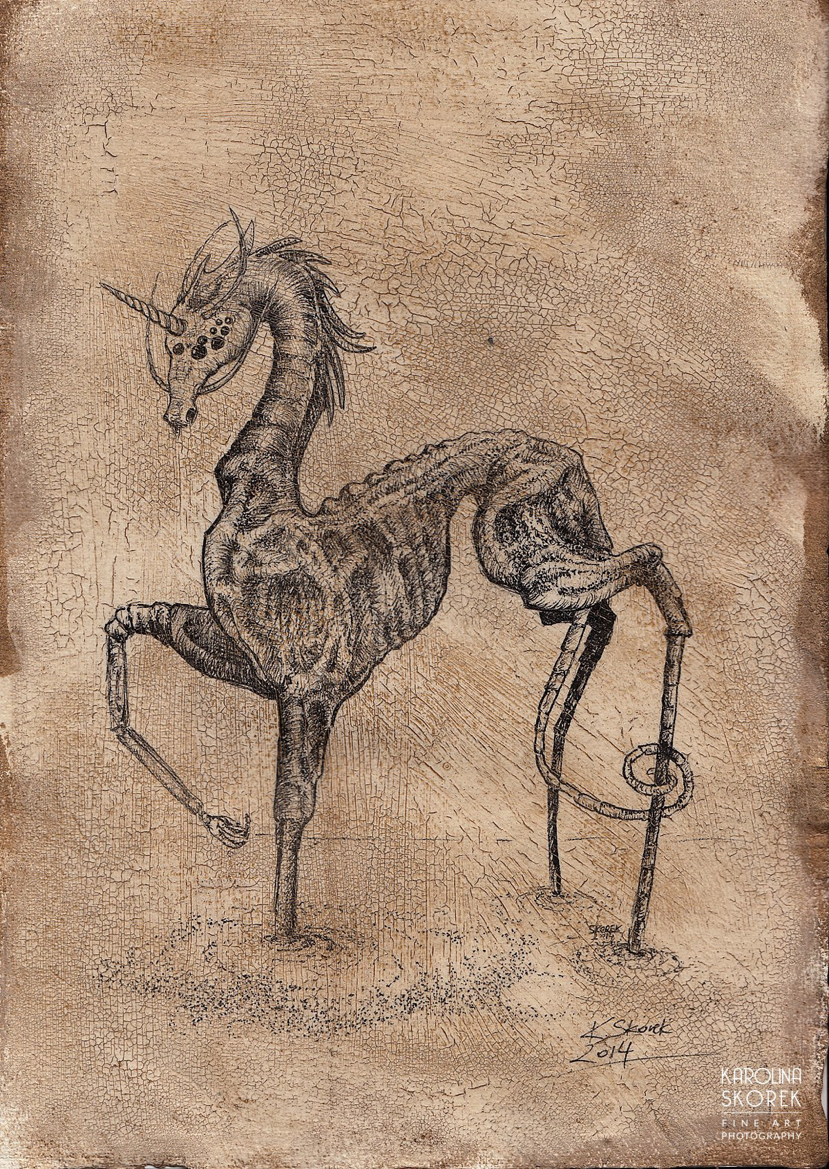 ILLUSTRATION  ink Ink illustrations creatures harry potter vingate nightmares hand made pencil Fantastic Beasts