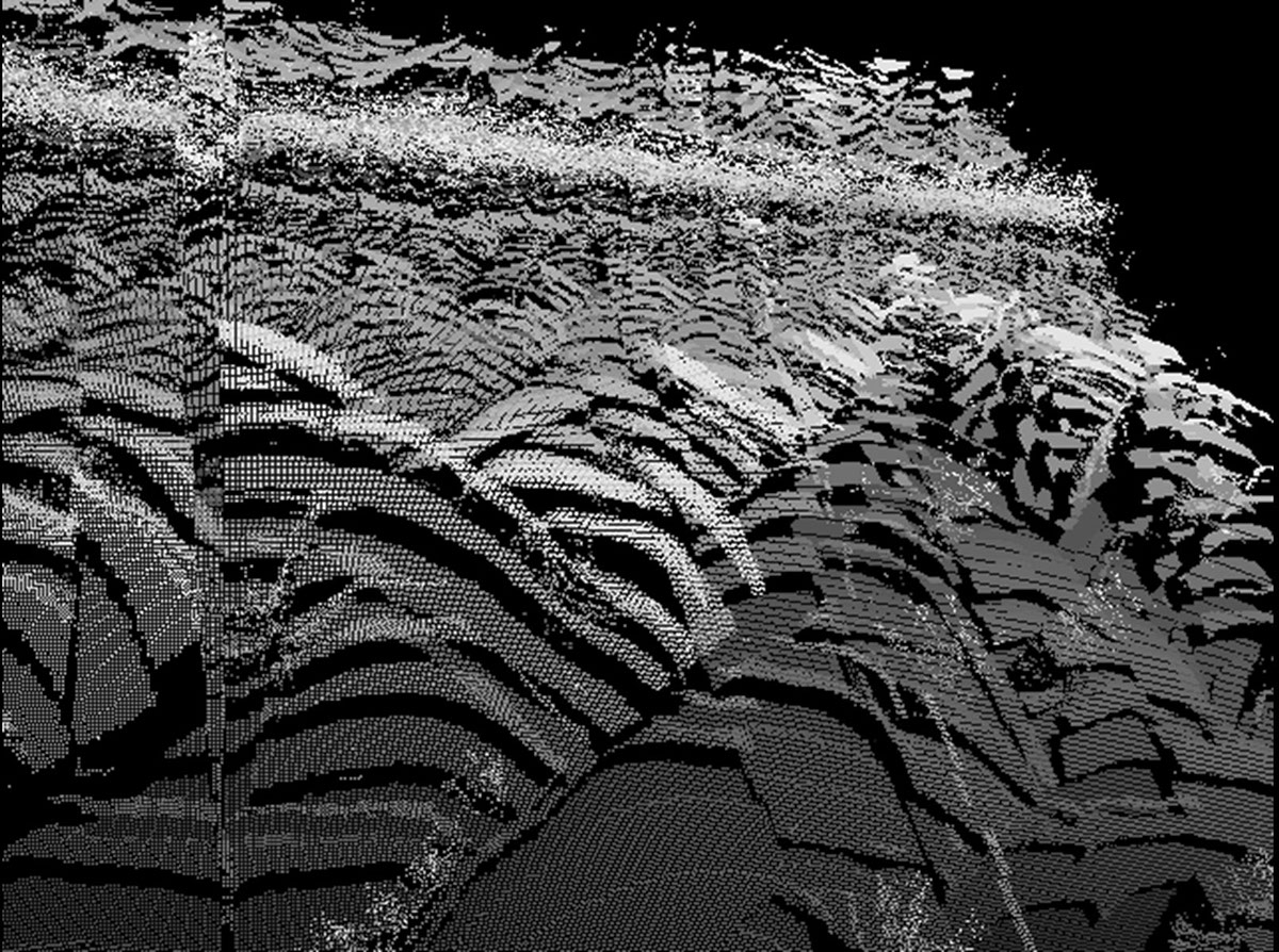 fractal pattern morfology virtual landscape
