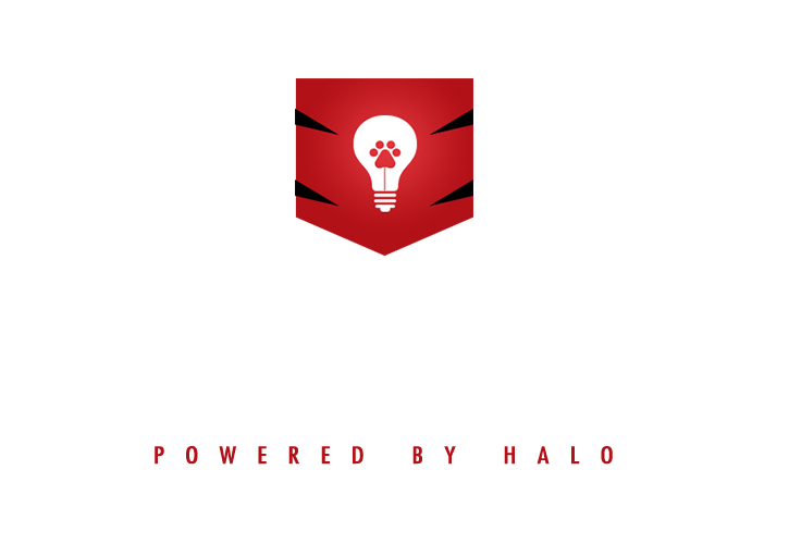 strategy design development tiger labs Tiger Labs Halo media splash UI ux icons line