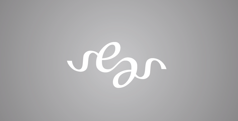 branding  typography   logo
