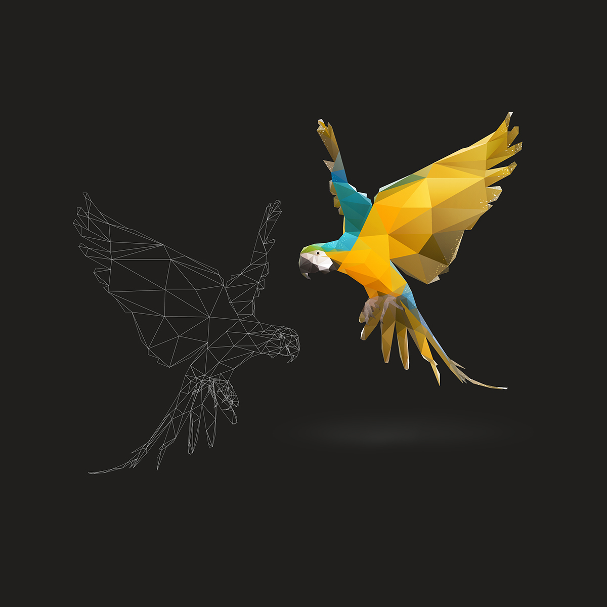 macaw Low Poly low polygon vector art photoshopcc Ps25Under25 photoshop birds animals cute animals