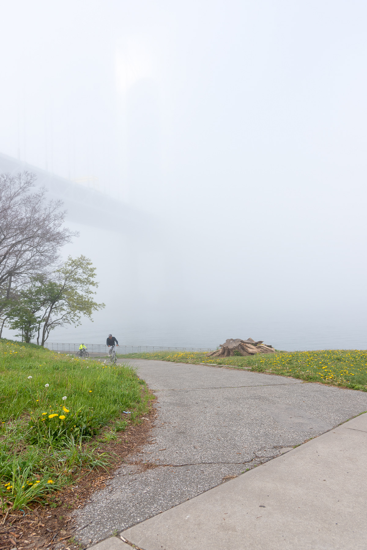 Brooklyn fog jogging Landscape New York parks Photography  running verrazano bridge