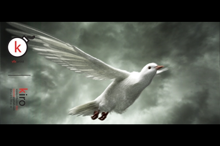 3D CG pigeon olimpo olimpics