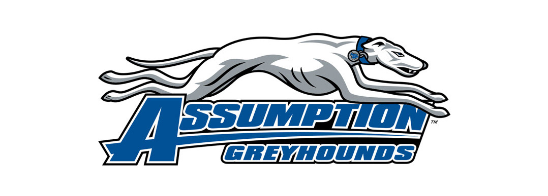college dogs greyhounds hounds identity logo Mascot sports team