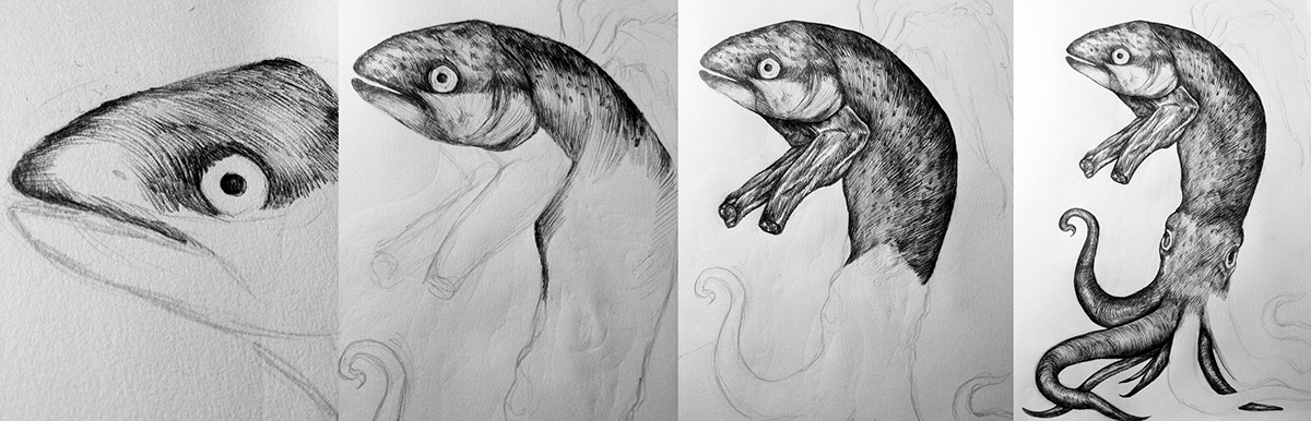 pen illustration pen ink mutant fish rabbit octopus expressive sketch black in white workprocess