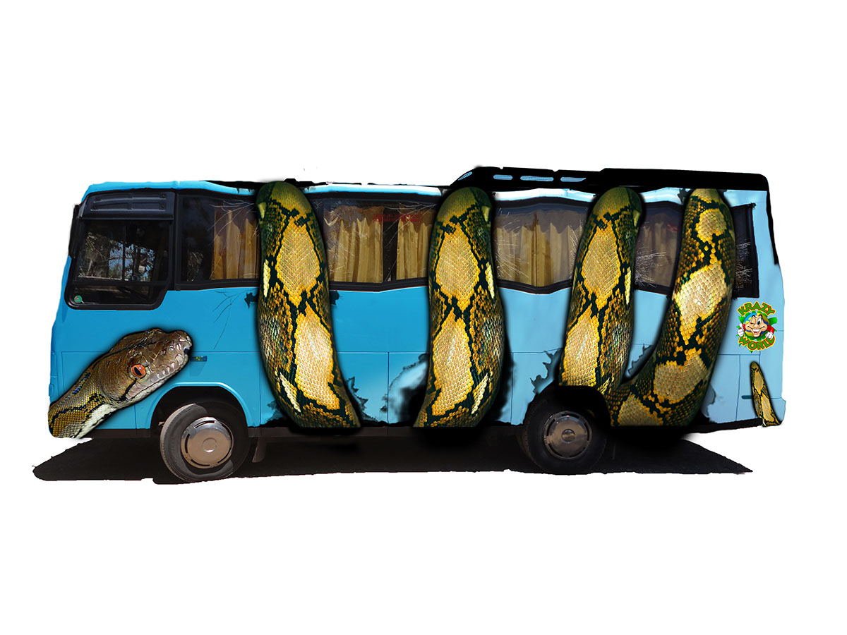 wrapp Tranports bus Truck car zoo snake smash big transports design