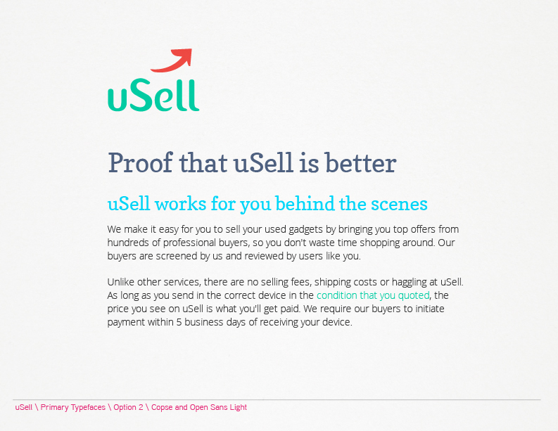 usell iphone process turquoise rose logo colorful arrow renato castilho guidelines sketches New York