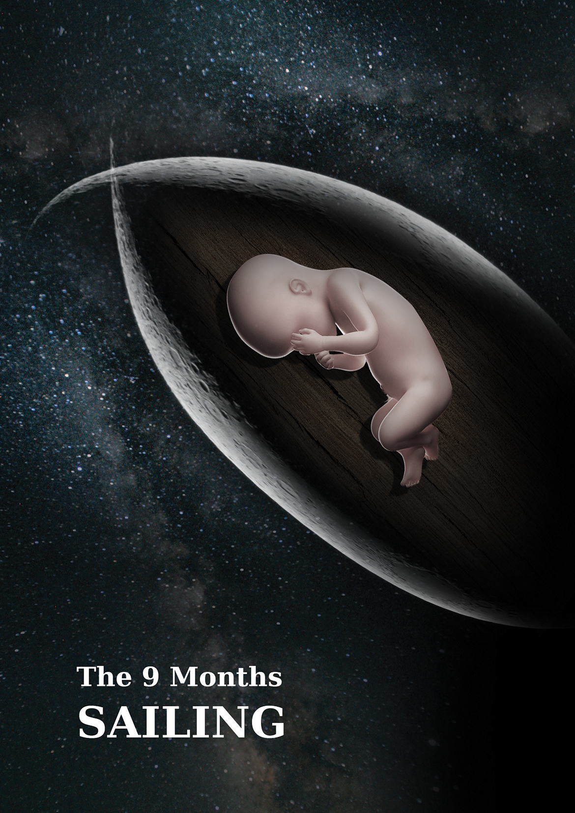 pregnant moon phases sperm vagina blue heart beats boat journey