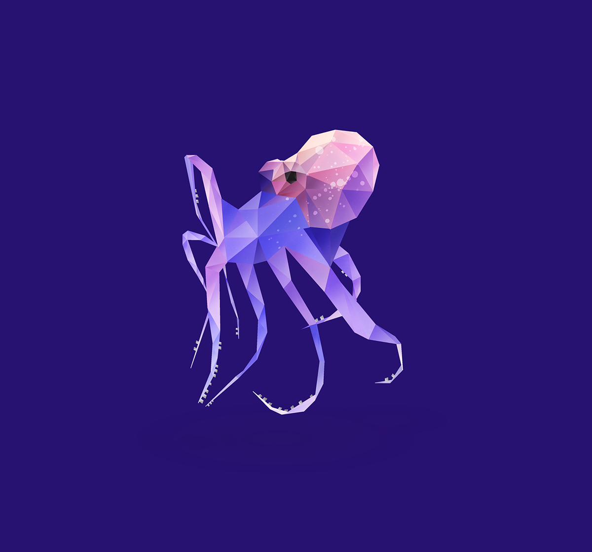 Octopus. on Behance