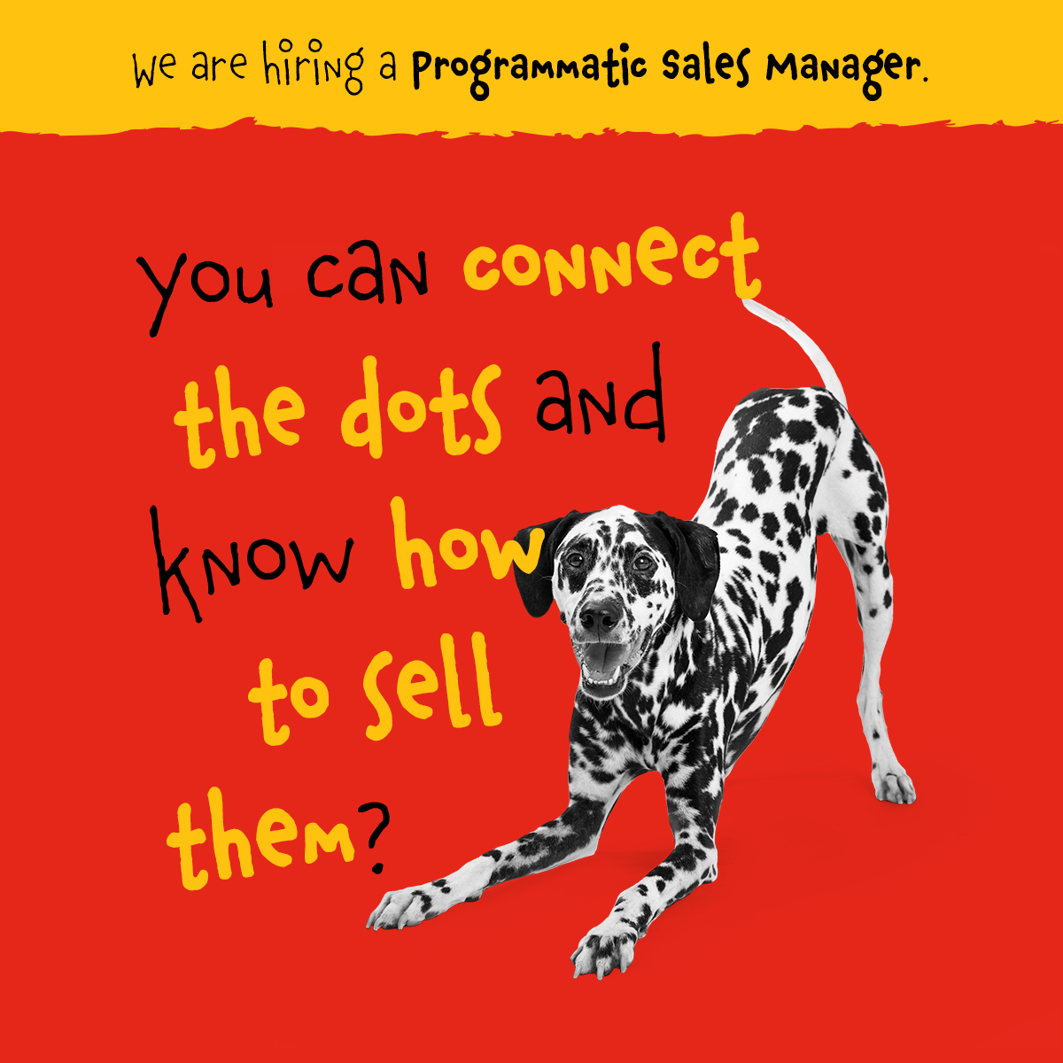 dog job Njuskalo colors vibrant Fun