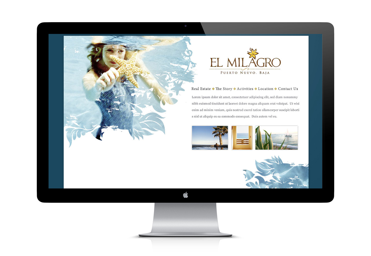 Adobe Portfolio Website Design