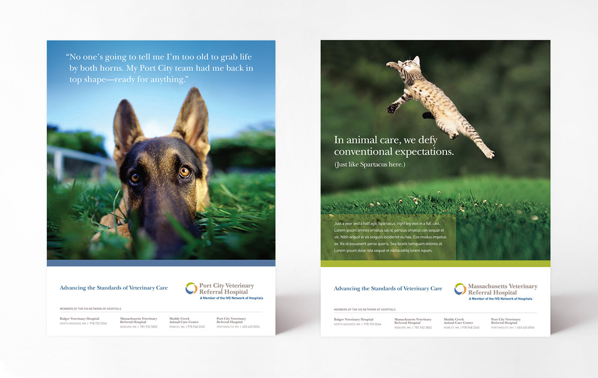 veterinary hospitals pets animals ads Business Cards brand guidelines