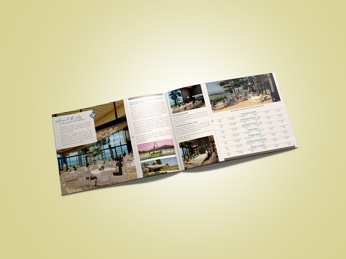 Advertising  Brand Design brochure brochure design Layout Design marketing   print typography  