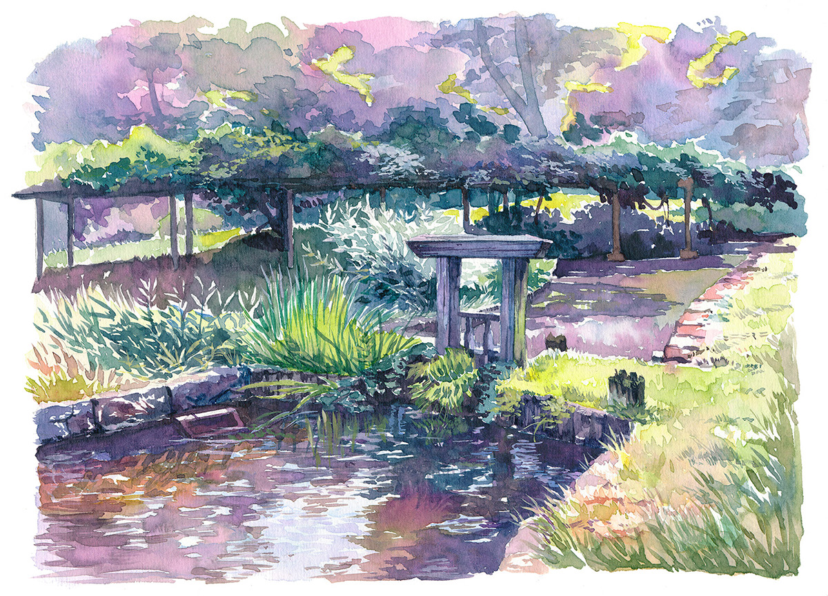Adobe Portfolio garden japan tokyo Watercolours Outdoor green painting   watercolors colorful