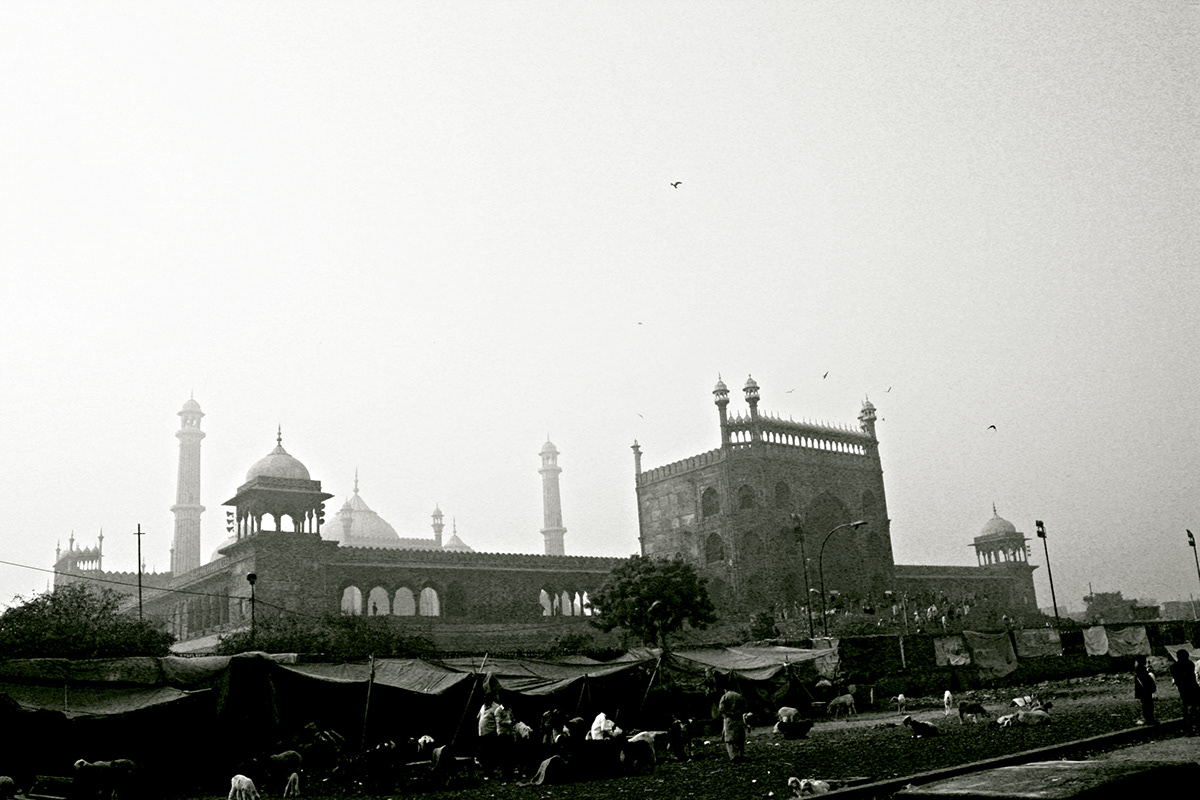 black & white heritage capital Monuments of Delhi monuments history Islamic Architecture City of forts