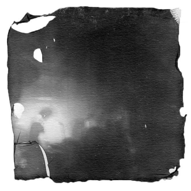 polaroid emulsion lift POLAROID emulsion lift experiment black and white FOxygen Flowers
