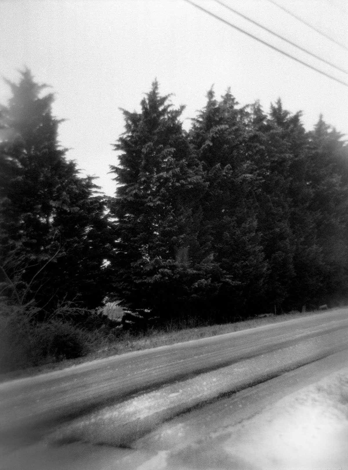 Adobe Portfolio Photography  fine art Landscape Film   winter black and white