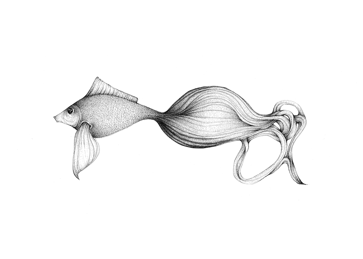 pen stippling fish creatures research growth imaginary species