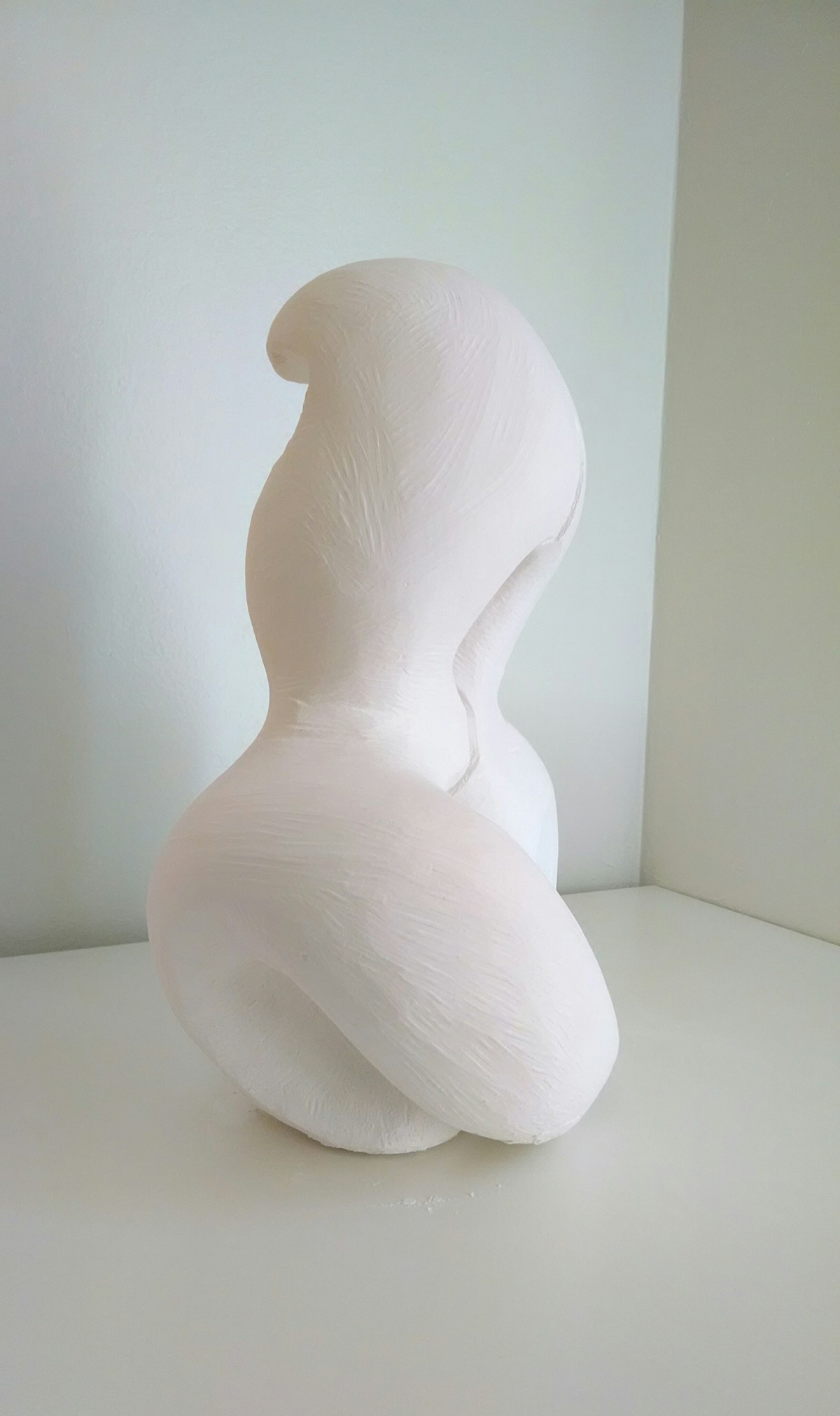 plaster White organic form feminine