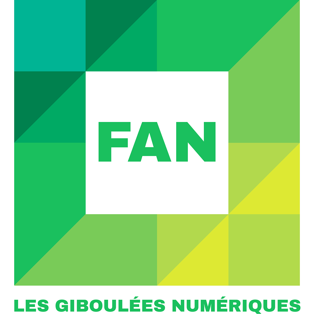 photoshop Illustrator graphisme logo fan Les Giboulées Numériques