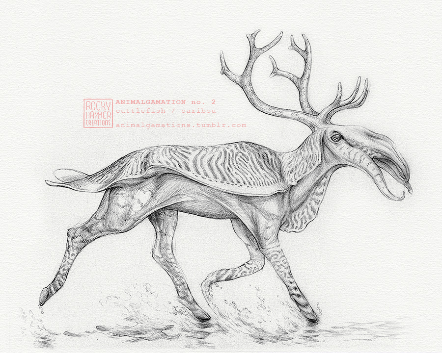 animals Drawing  ILLUSTRATION  sketching Creature Design concept art Character design  anatomy