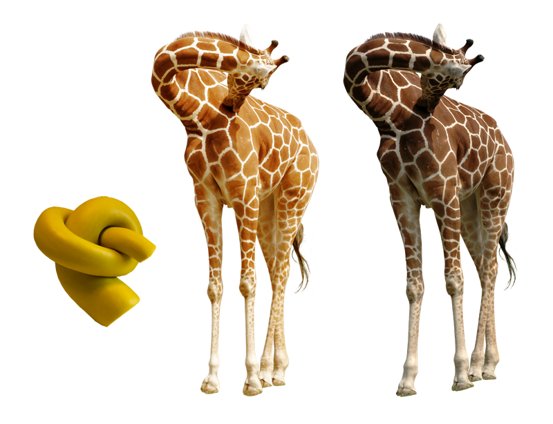photoshop knot neck knot giraffe tutorial comic animal
