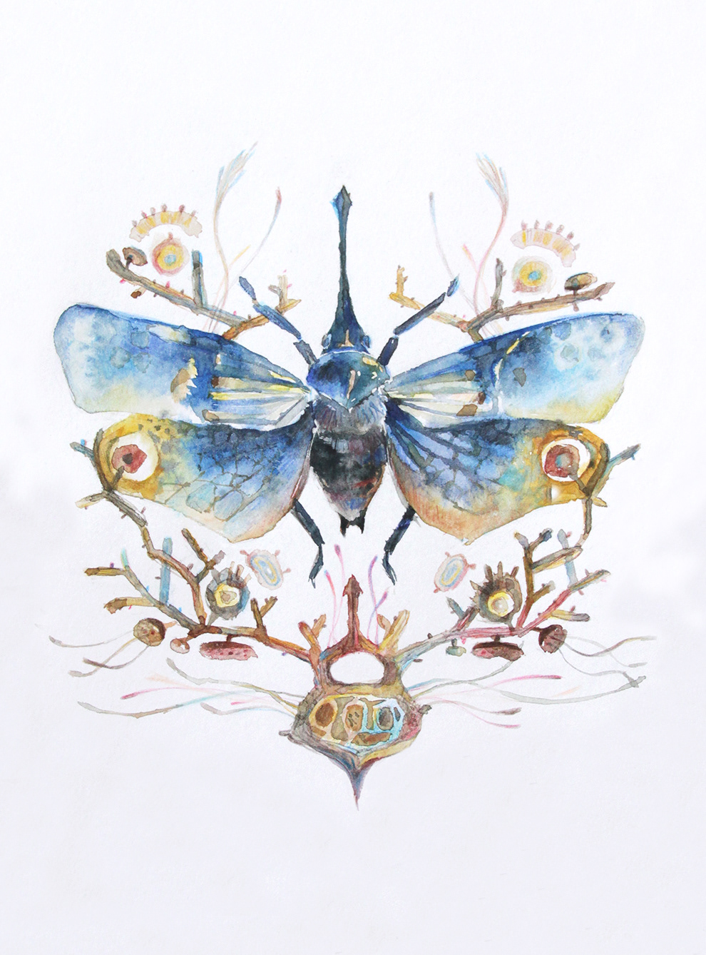 beetles Mushrooms aquarelle Patterns Nature Flora and Fauna watercolor butterfly handdrawing