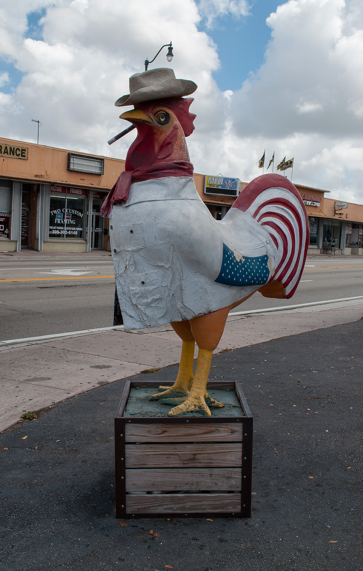 #roostersofcalleocho