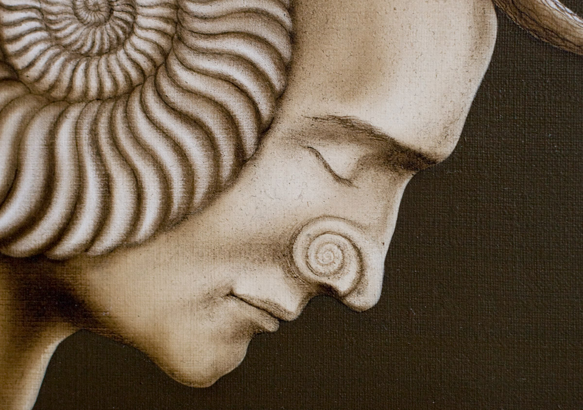 head face tranquillity So   aloofness   snail Spiral shell umbra archetype somnambulist