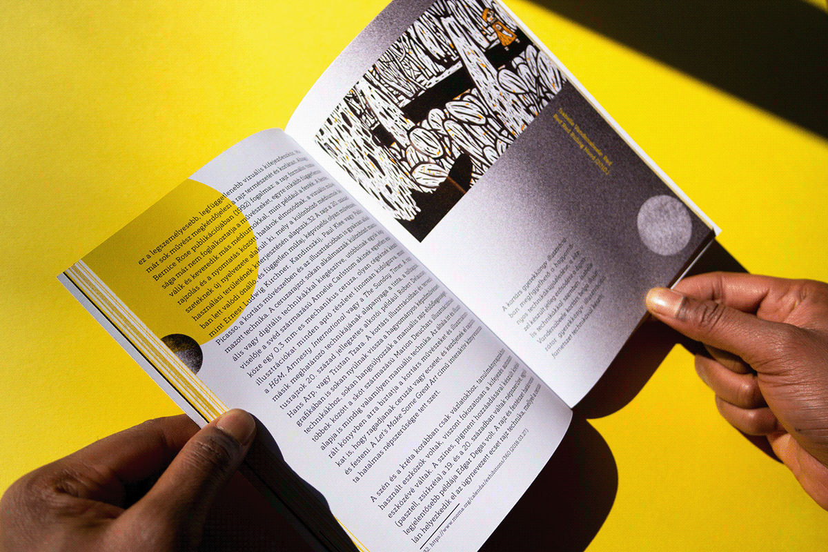 book Bookdesign diploma editorial editorialdesign graphicdesign ILLUSTRATION  Indesin thesis typography  