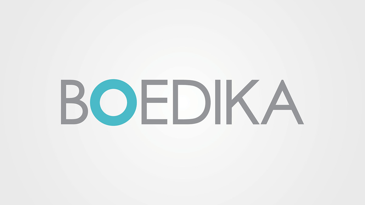 logo boedika logo branding business card