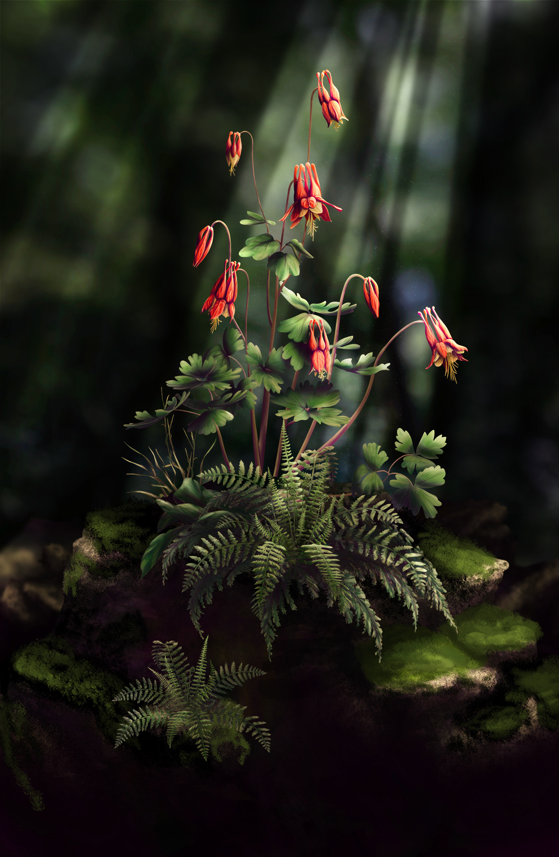 Digital Art  digital painting ILLUSTRATION  Nature plants