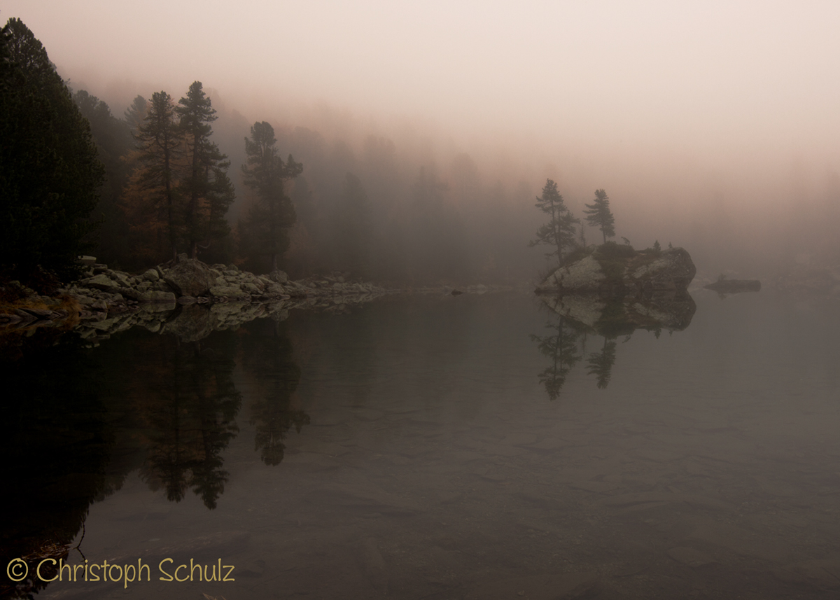 Adobe Portfolio Engadin Schweiz Switzerland herbst baum berg wasser see spiegeln nebel autumn Tree  mountain lake