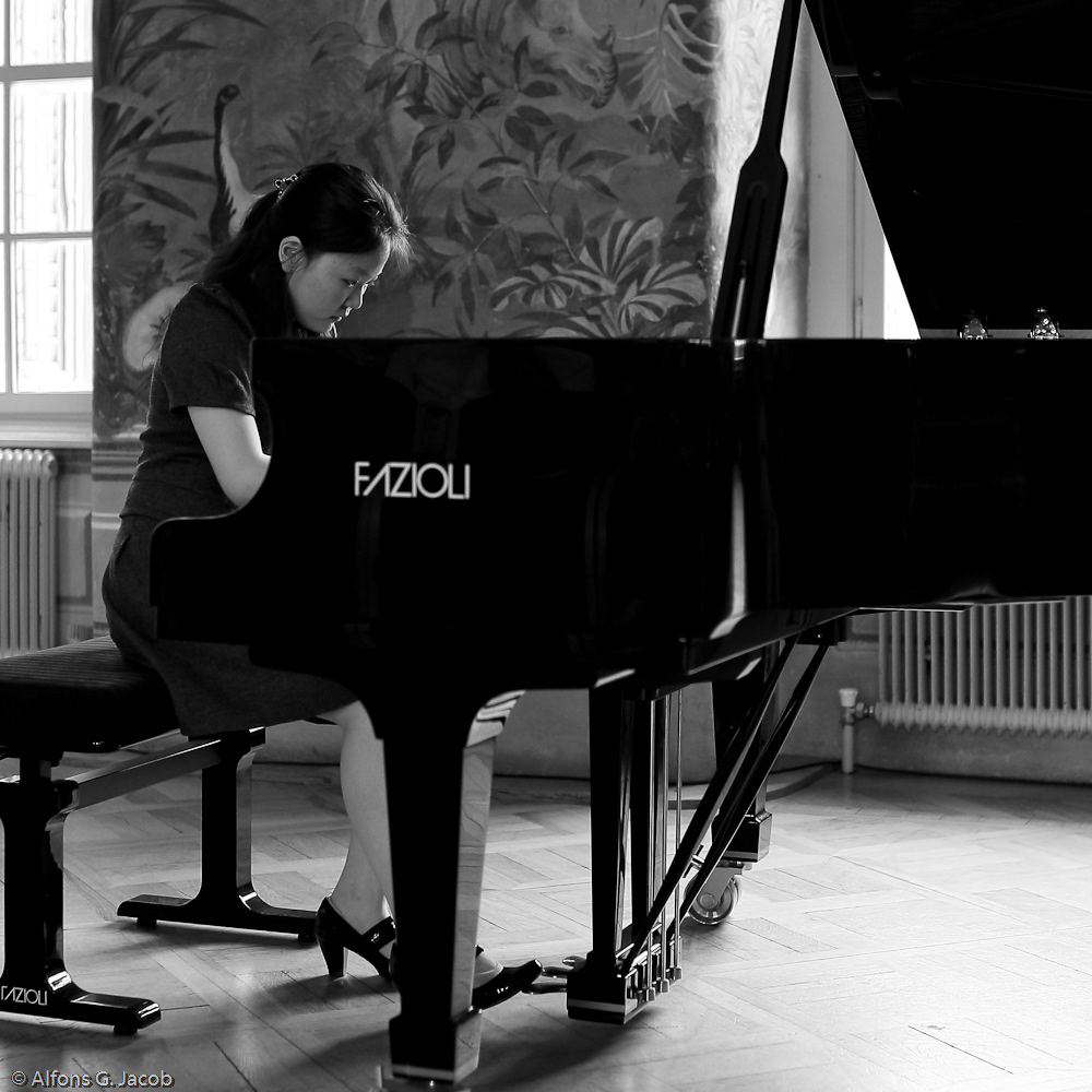 vienna ViennaMasterCourses Piano Public Concert Master Class Schloss Laudon baroque water-castle Ludwig van Beethoven johannes brahms Frédéric Chopin Franz Schubert classical music