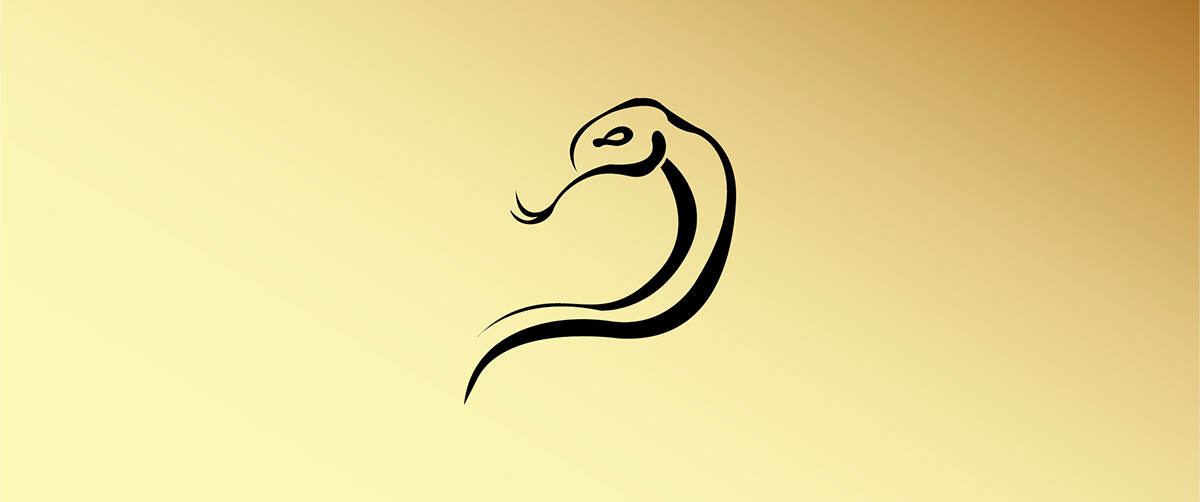 zodiacs chinese graphic design  design Icon