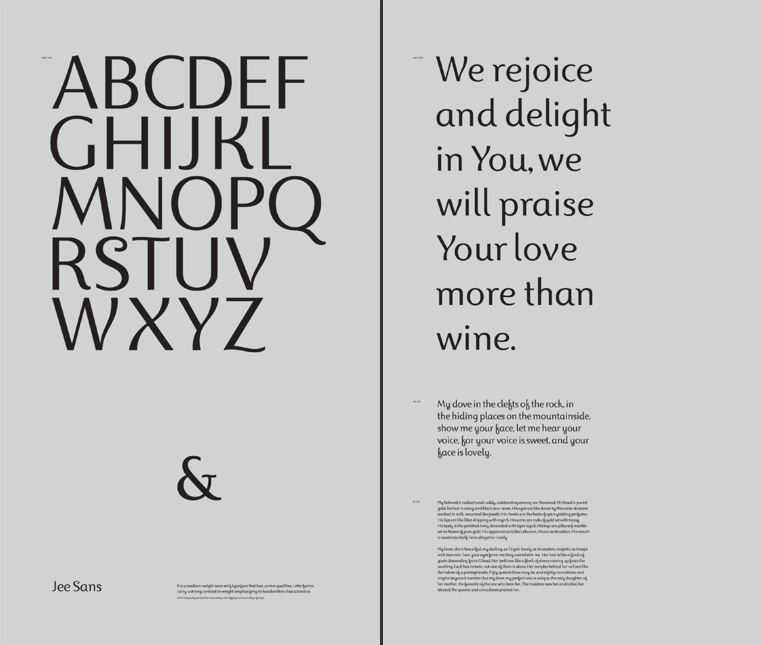 typeface design  type  font  jee sans sans serif  display font  Custom Font