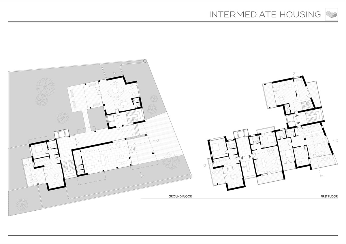 architecture intermediate Collective  housing ILLUSTRATION 