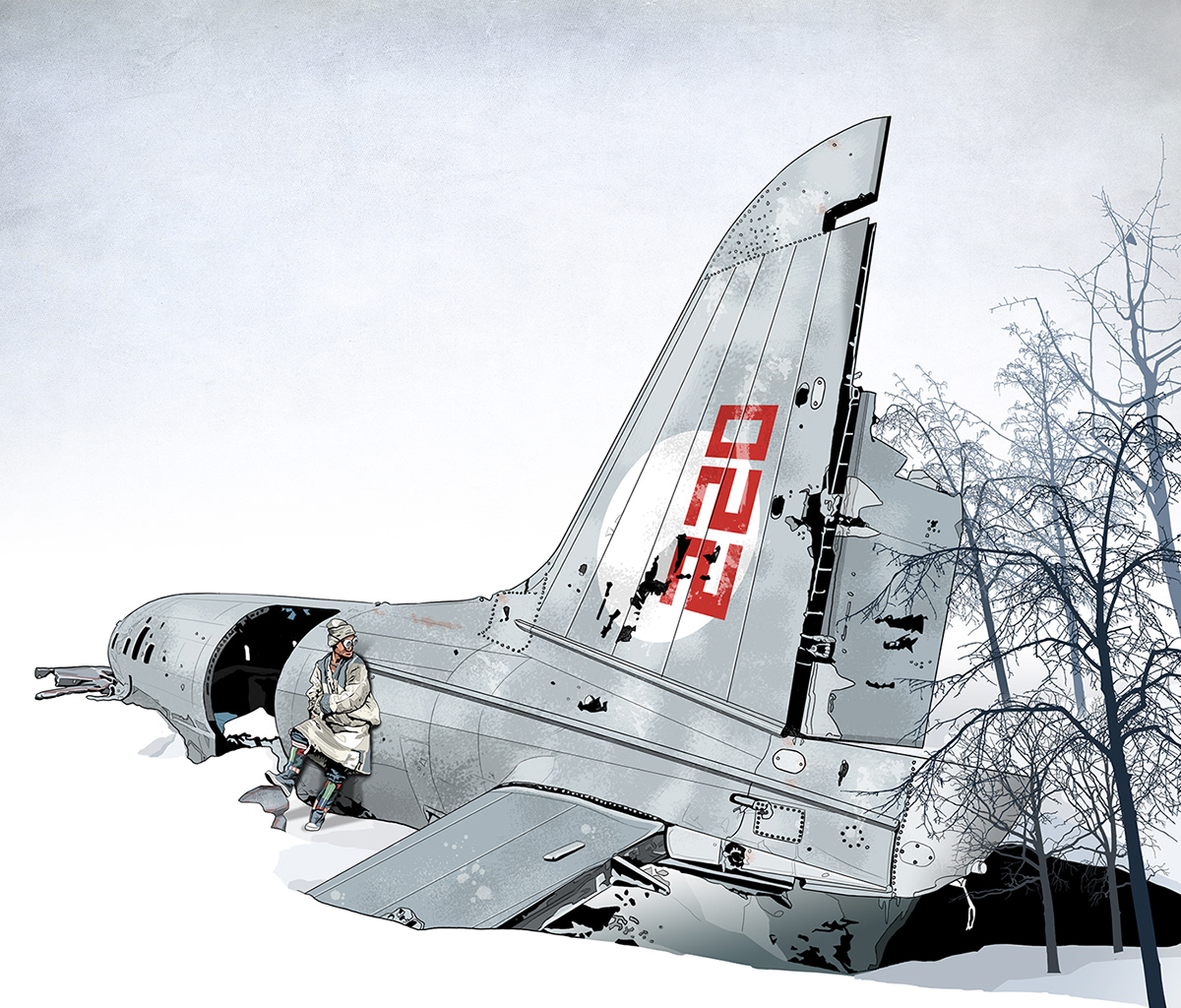 winter snow plane wreck sherpa trees storm clouds SKY grey