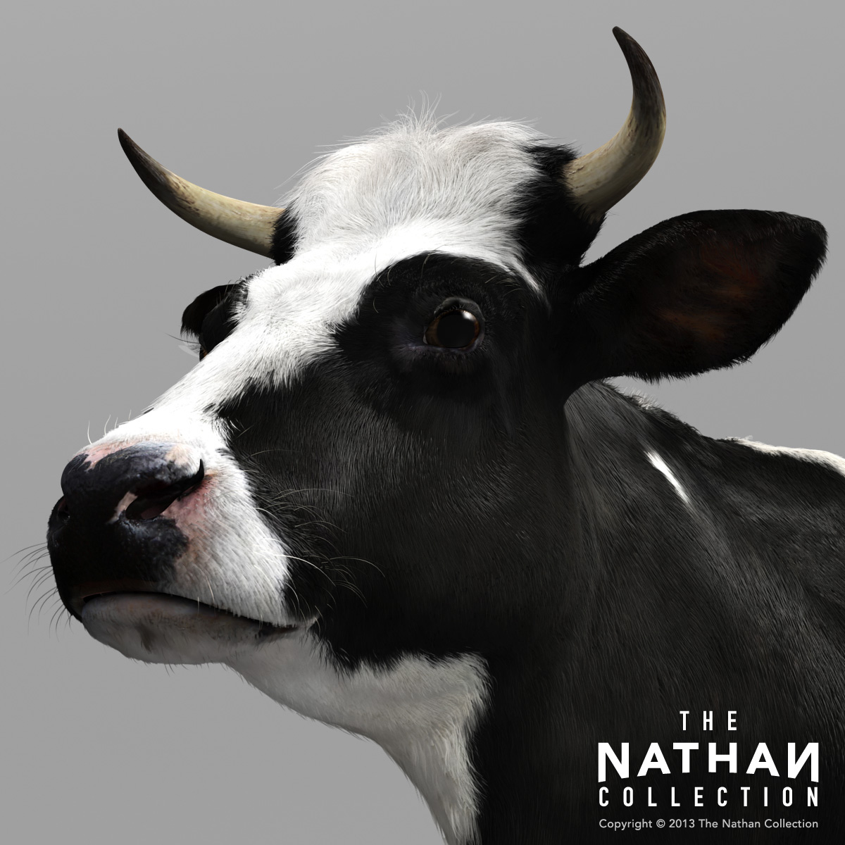 holstein cow 3D model Friesian Friesland Dairy farm animal 3D model bovine