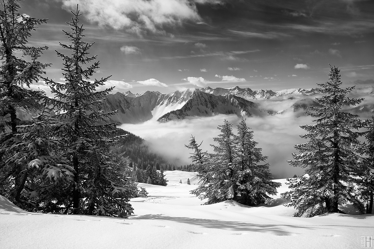 Adobe Portfolio winter alps mountain snow up Tree  fresh black & white Vorarlberg tourism skiing