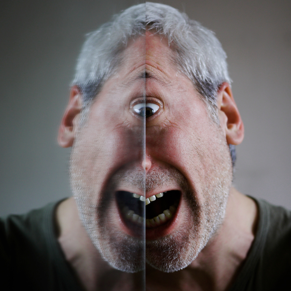 portraits  mirror schizo split image