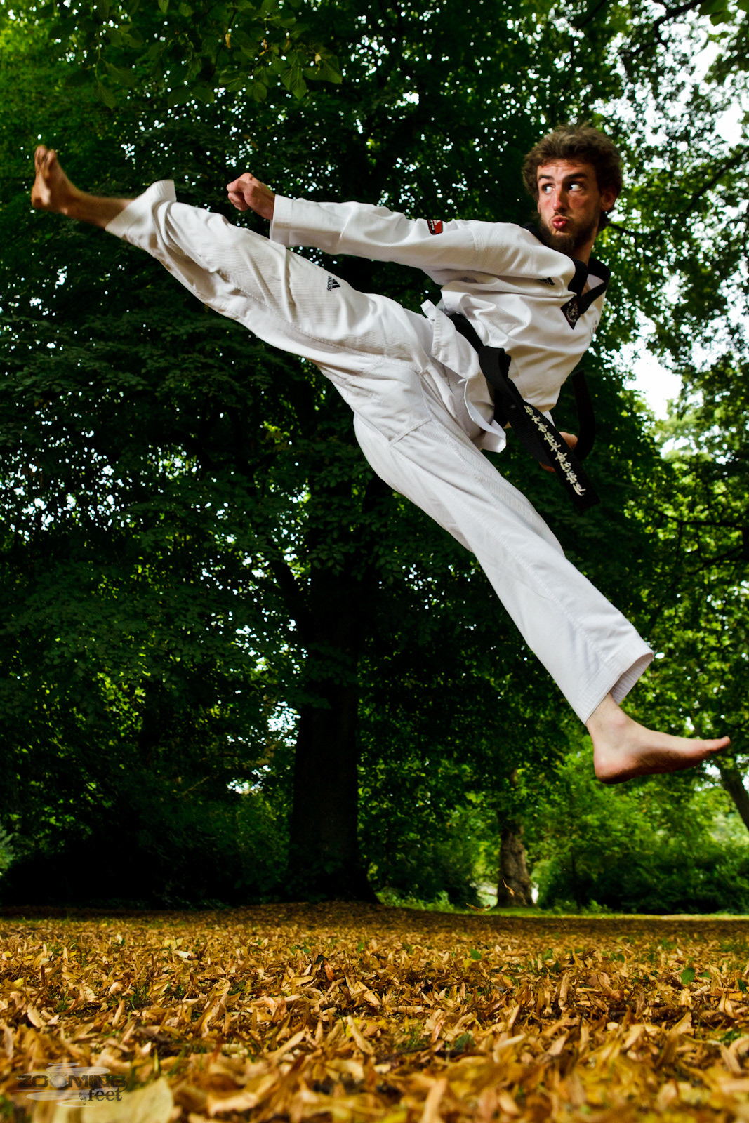 Martial Arts Silat kung fu taekwondo