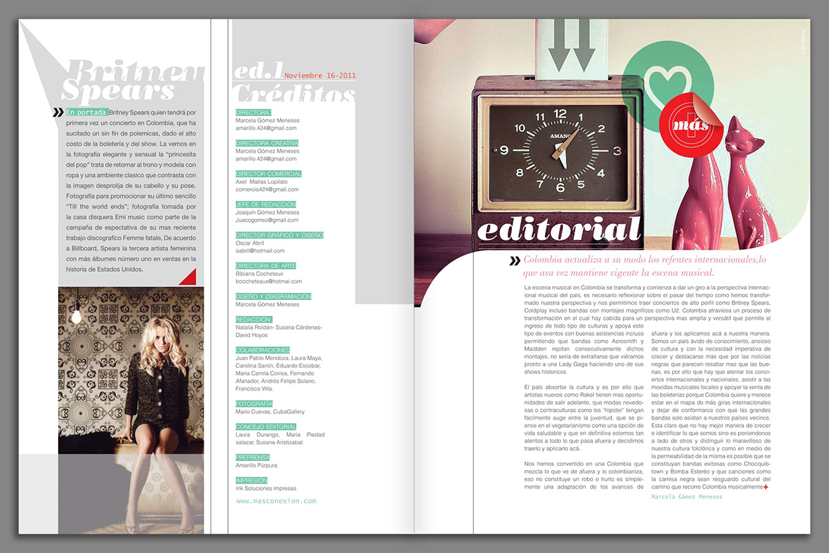 editorial  editorial design magazine revista tipografia
