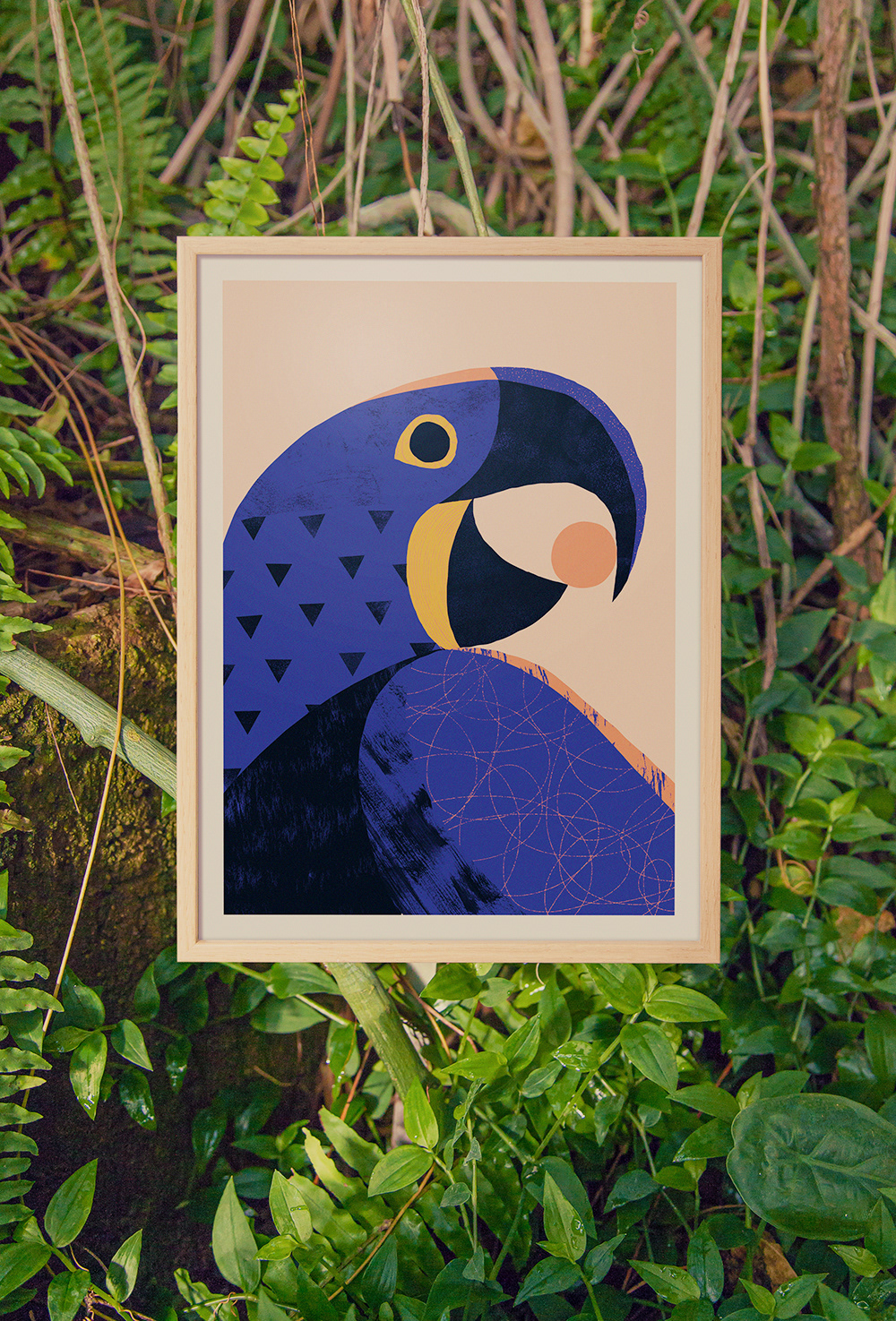 jaguar macaw bird otter frame homedecor conservation rainforest jungle