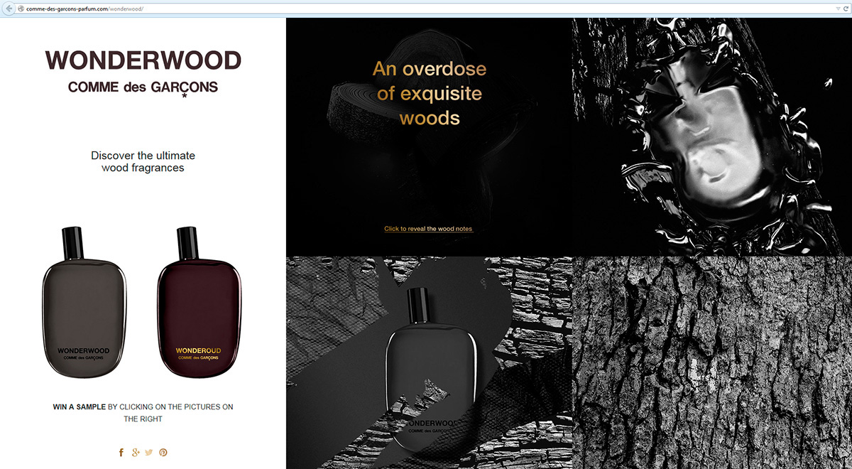 commedesgarcons gold wood Website puig Fragrance