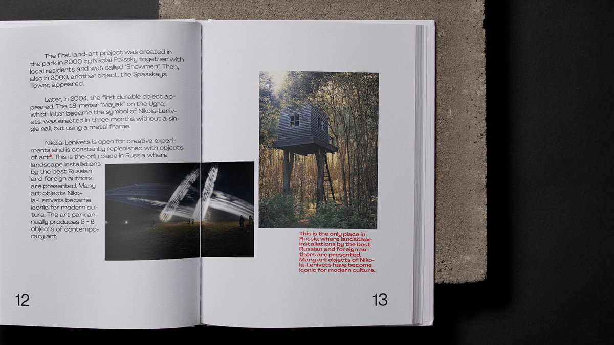 book graphic design  print typography   book design editorial Layout photobook softcover bookseries