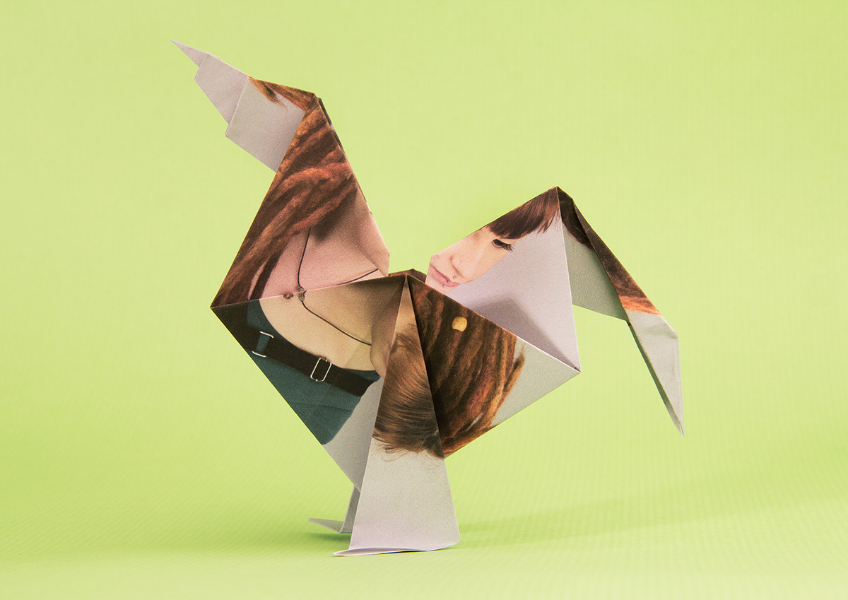origami  japanese chinese zodiak animals Expressionism folding paper photographs Famiy personal Project rabbit Rooster crane