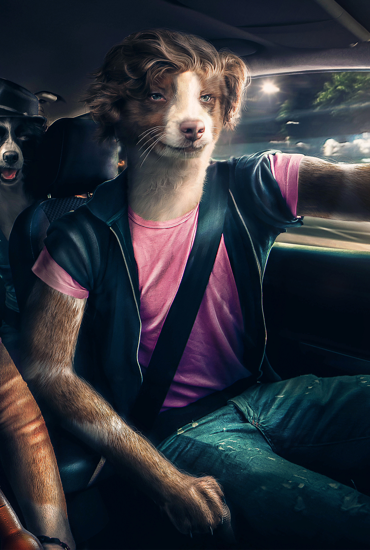 dogs  funny  Car  night  digital  party  retouching  PHOTOMANIPULATION CGI