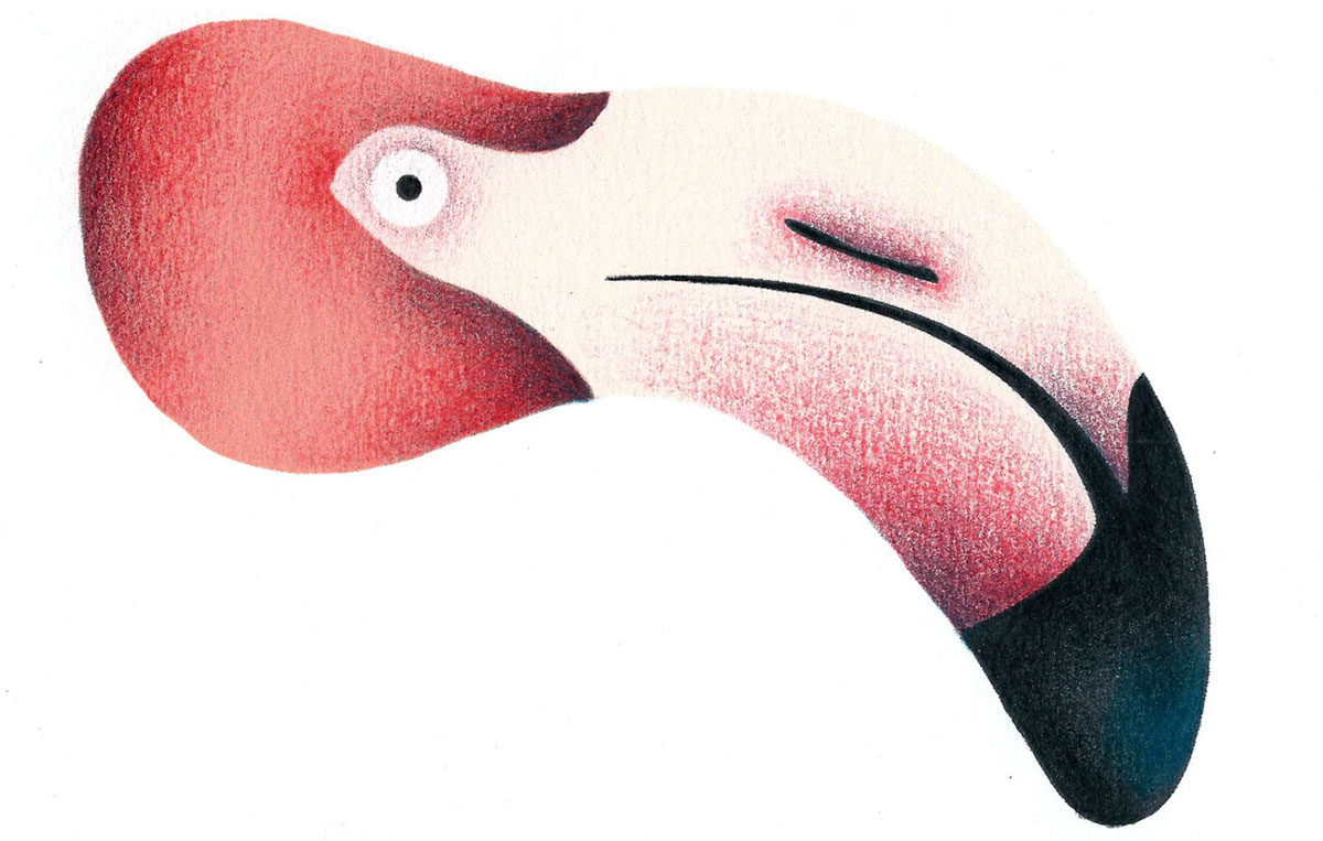 Popup pop-up edition book children child childhood draw paint Volume paper art flamingo animal bird
